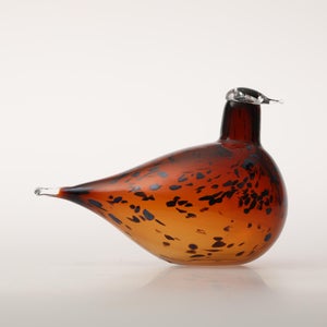 Birds Pekkasiini コッパーブラウン 0154