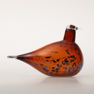 Birds Pekkasiini コッパーブラウン 0155