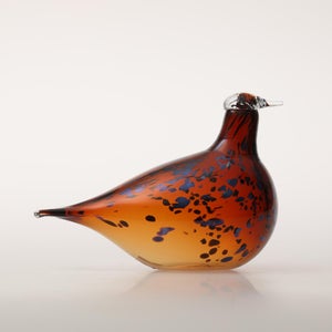 Birds Pekkasiini コッパーブラウン 0156