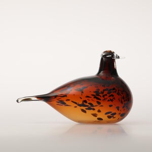 Birds Pekkasiini コッパーブラウン 0157