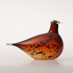 Birds Pekkasiini コッパーブラウン 0158