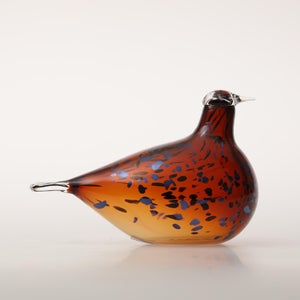 Birds Pekkasiini コッパーブラウン 0159