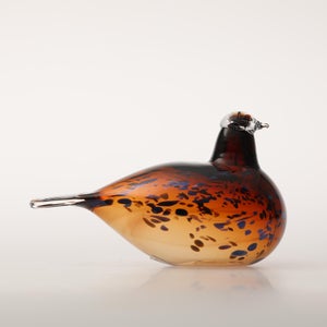 Birds Pekkasiini コッパーブラウン 0160