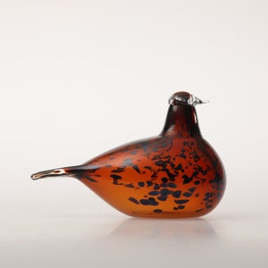 Birds Pekkasiini コッパーブラウン 0161