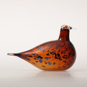 Birds Pekkasiini コッパーブラウン 0162