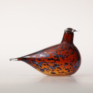 Birds Pekkasiini コッパーブラウン 0163