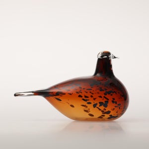 Birds Pekkasiini コッパーブラウン 0164