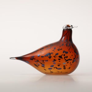 Birds Pekkasiini コッパーブラウン 0165