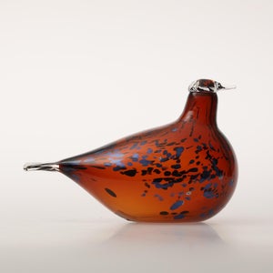 Birds Pekkasiini コッパーブラウン 0166