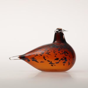 Birds Pekkasiini コッパーブラウン 0167