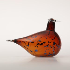 Birds Pekkasiini コッパーブラウン 0168