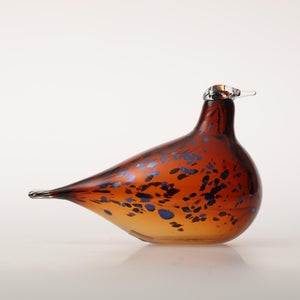 Birds Pekkasiini コッパーブラウン 0171