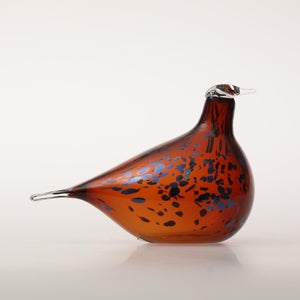 Birds Pekkasiini コッパーブラウン 0172