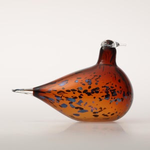 Birds Pekkasiini コッパーブラウン 0173