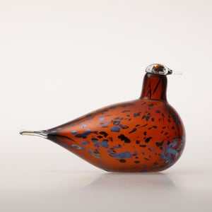 Birds Pekkasiini コッパーブラウン 0174