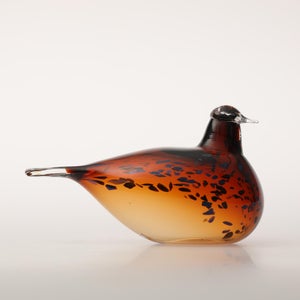 Birds Pekkasiini コッパーブラウン 0175