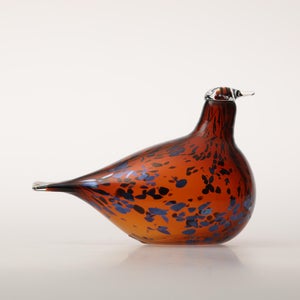 Birds Pekkasiini コッパーブラウン 0176