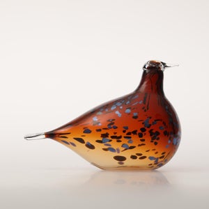 Birds Pekkasiini コッパーブラウン 0177