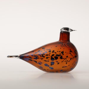 Birds Pekkasiini コッパーブラウン 0178