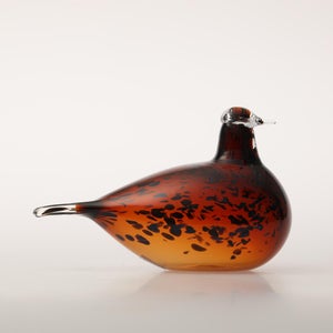 Birds Pekkasiini コッパーブラウン 0179