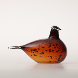 Birds Pekkasiini コッパーブラウン 0180