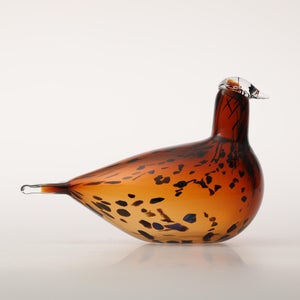 Birds Pekkasiini コッパーブラウン 0181