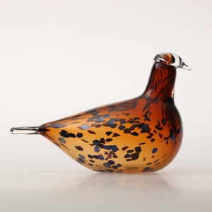 Birds Pekkasiini コッパーブラウン 0182