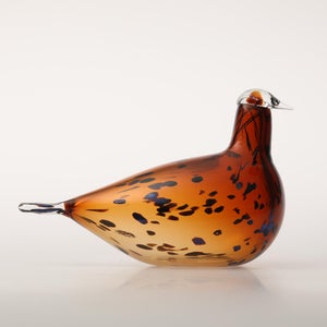 Birds Pekkasiini コッパーブラウン 0183