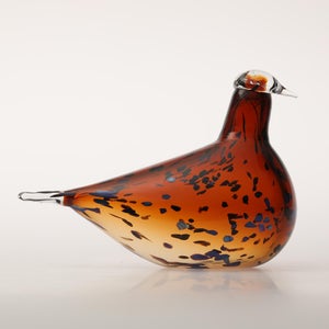 Birds Pekkasiini コッパーブラウン 0184