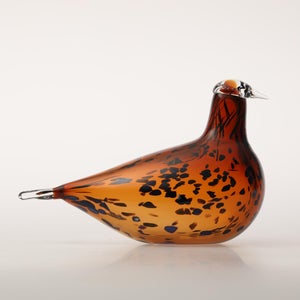 Birds Pekkasiini コッパーブラウン 0185