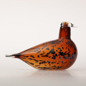 Birds Pekkasiini コッパーブラウン 0186