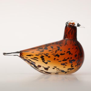 Birds Pekkasiini コッパーブラウン 0187