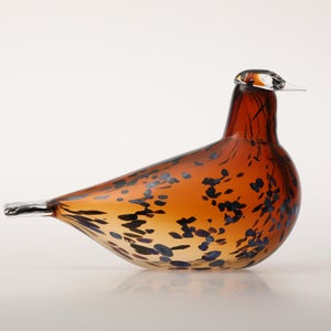 Birds Pekkasiini コッパーブラウン 0188