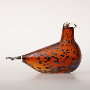 Birds Pekkasiini コッパーブラウン 0189