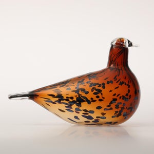 Birds Pekkasiini コッパーブラウン 0191