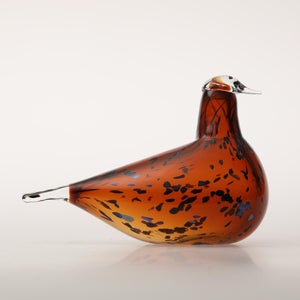 Birds Pekkasiini コッパーブラウン 0193