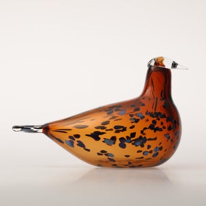 Birds Pekkasiini コッパーブラウン 0194