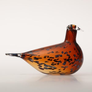 Birds Pekkasiini コッパーブラウン 0195