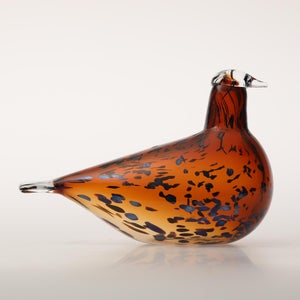 Birds Pekkasiini コッパーブラウン 0196