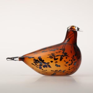 Birds Pekkasiini コッパーブラウン 0197