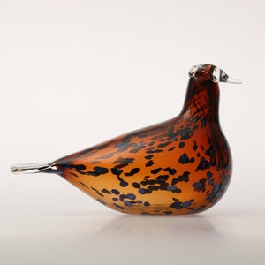 Birds Pekkasiini コッパーブラウン 0198