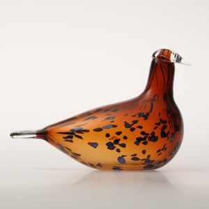 Birds Pekkasiini コッパーブラウン 0199