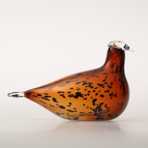 Birds Pekkasiini コッパーブラウン 0200