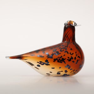 Birds Pekkasiini コッパーブラウン 0201