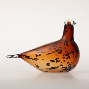 Birds Pekkasiini コッパーブラウン 0203