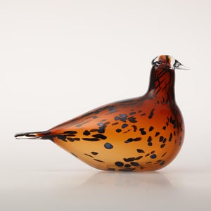 Birds Pekkasiini コッパーブラウン 0204