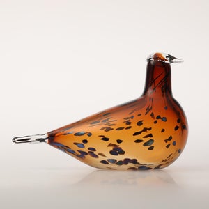 Birds Pekkasiini コッパーブラウン 0205