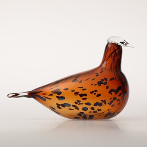 Birds Pekkasiini コッパーブラウン 0206