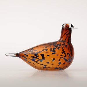 Birds Pekkasiini コッパーブラウン 0207