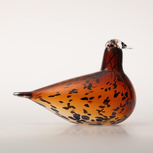 Birds Pekkasiini コッパーブラウン 0208